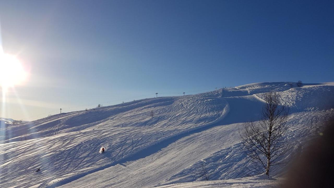 Timblalodgen Sogndal Exterior photo